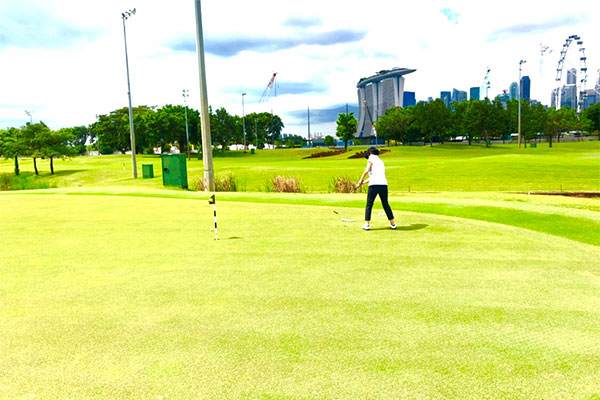 ゴルフレッスン　マリーナベイゴルフコース付属の広大なアプローチグリーンを使用してのショートゲームレッスン